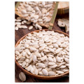 Chinese hulled shine skin snow white pumpkin seeds kernels squash seeds